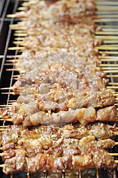 Barbecue on skewer photo