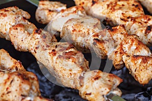 Barbecue skewers with meat on the brazier. Chicken shish kebab