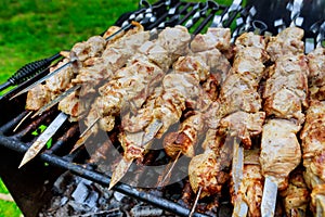 Barbecue skewers meat kebabs with grill