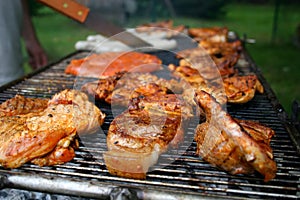 Barbecue with Steaks