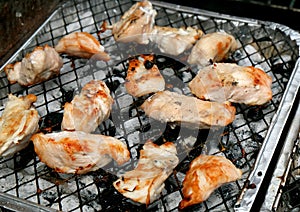 Barbecue in a Uk garden in bright summer weather.