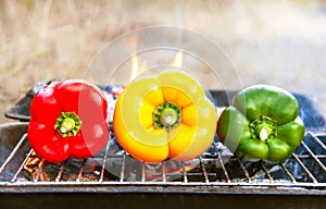 Barbecue vegetables (peppers, paprika) on the grill.