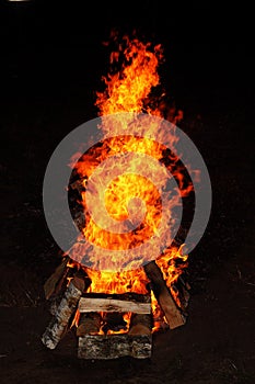 Barbecue wild fire photo