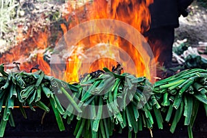 Barbecued calÃÂ§ots