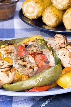 Barbecued chicken kebab dinner