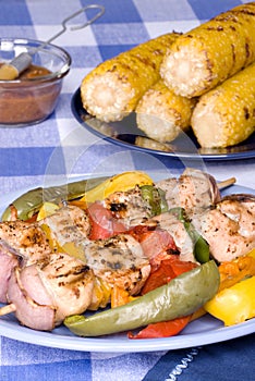 Barbecued chicken kebab dinner