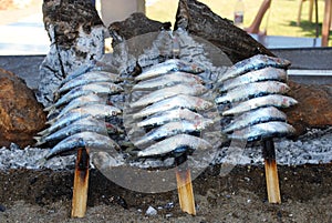 Barbecued sardines, Benalmadena.