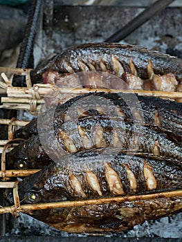 Barbecued tilapia fish for sale. Kouangxi waterfall, Luang Prabang, Laos