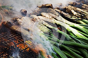 Barbecuing calcots, onions typical of Catalonia