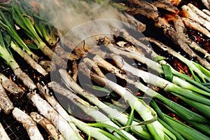 Barbecuing calcots, onions typical of Catalonia