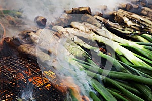 Barbecuing calcots, onions typical of Catalonia photo