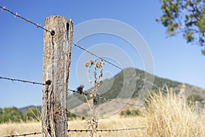 Barbed or Bobbed Wire Fence