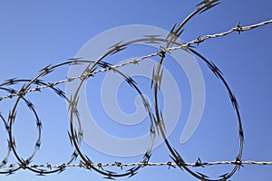 Barbed Concertina Wire on Fence, Security Device photo