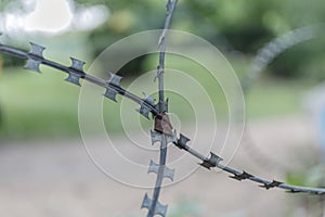 Barbed fence