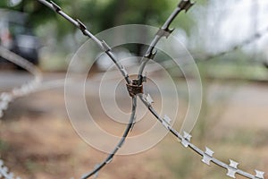 Barbed fence