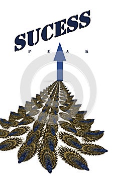 Barbed  way to reach sucess peak