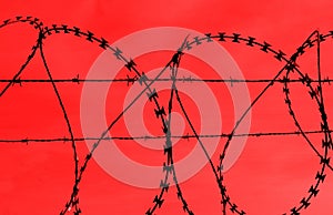 Barbed wire