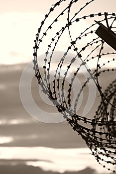 Barbed wire