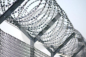 Barbed-wire 2