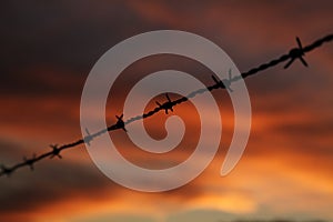 Barbed wire