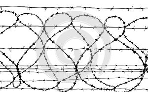 Barbed wire