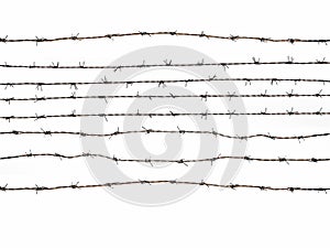 Barbed Wire photo