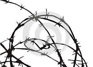 Barbed wire