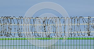 Barbed wire