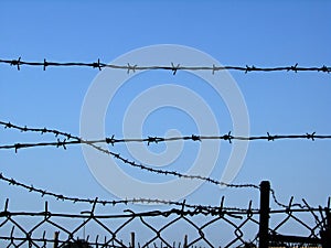 Barbed wire 3