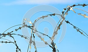 Barbed wire