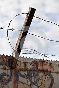 Barbed wire