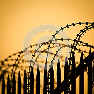 Barbed wire