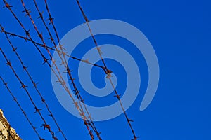 Barbed wire