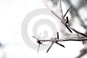 Barbed wire