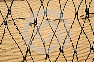 Barbed wire