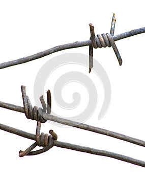 Barbed wire