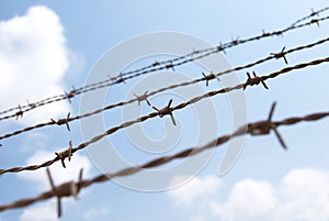 Barbed wire