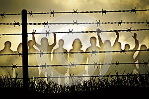 Barbed wire photo