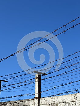 Barbed Wire