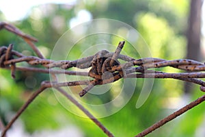 Barbed Wire