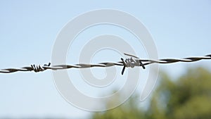 Barbed wire against blue sky. Part of guarding farm fence.