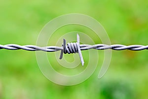 Sharp Barbed wire node