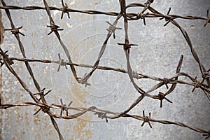 Barbed wire against the wall in the prison