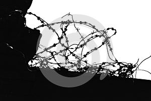 Barbed wire against white background. silhouette barbwire. imprisonment. jail