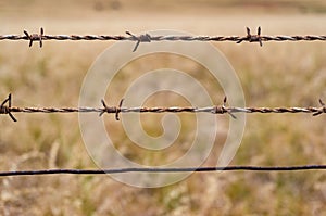 Barbed wire against yellow grass on the background