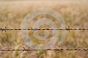 Barbed wire against yellow grass on the background