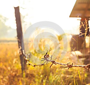Barbed Wire around Farmhouse with Sunrise
