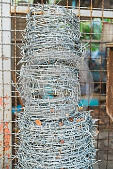 Barbed Wire Background