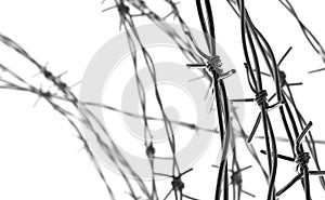 Barbed Wire Background