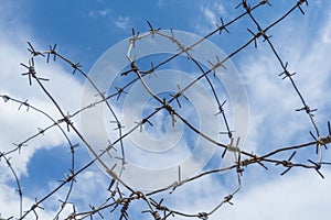 Barbed wire on the background of a blue sky with clouds.